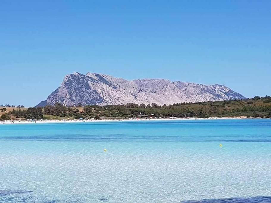 Amazing House 10 Min By Car From The Beach Olbia Exteriör bild