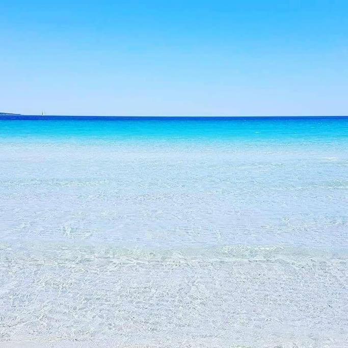Amazing House 10 Min By Car From The Beach Olbia Exteriör bild